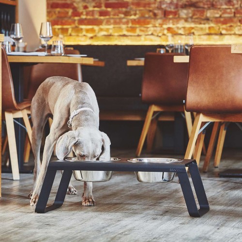 Gamelle design noir pour braque de weimar