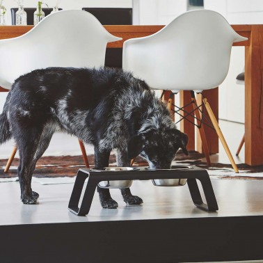 Gamelle noir pour chien