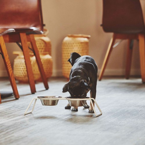 Petite gamelle design pour chien Miacara Cena