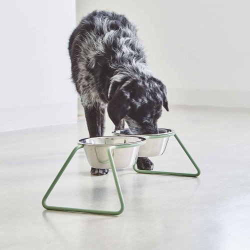 Gamelle design pour chien vert