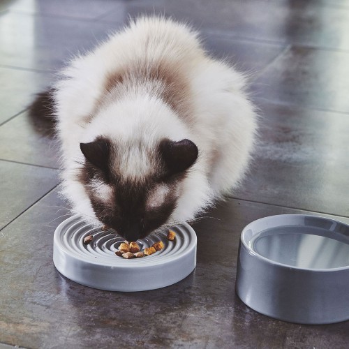 Jolie gamelle grise anti-glouton pour chat