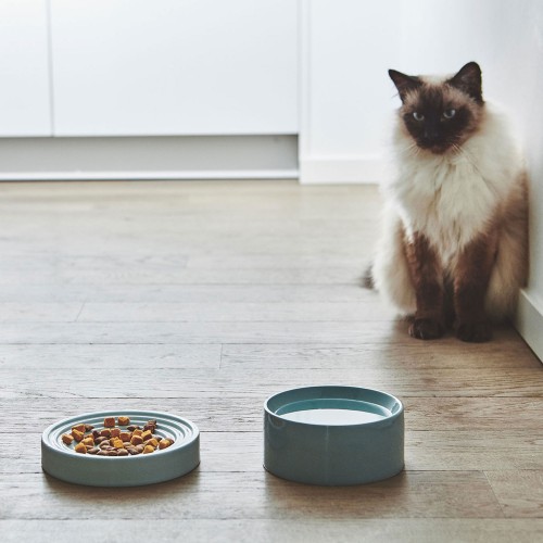 Bol design pour chat Miacara Fresco