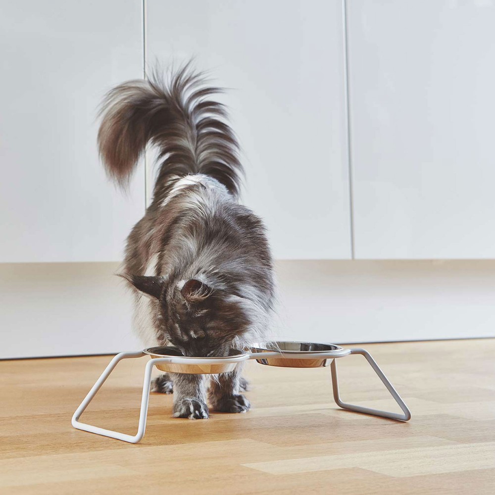 Gamelle design pour chat Miacara Cena