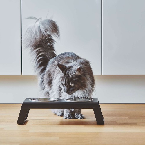 Gamelle design noir pour chat