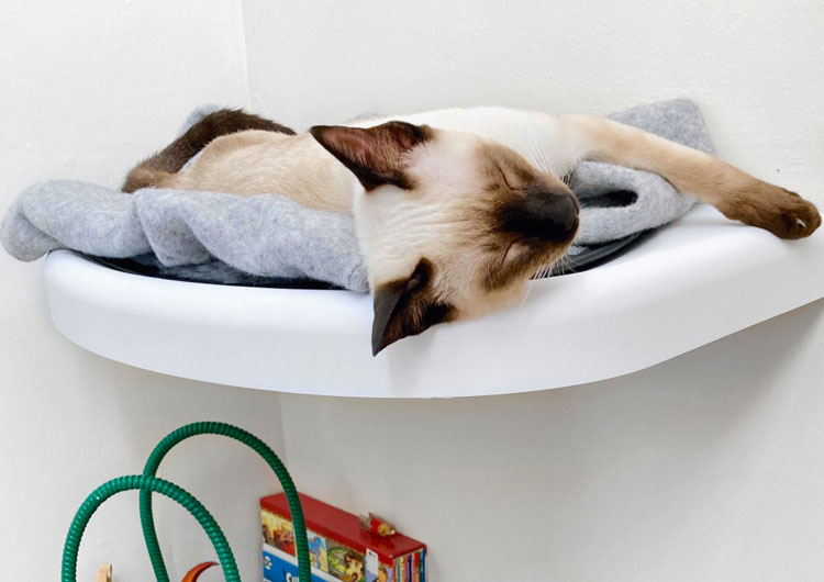 plateforme chat design blanche