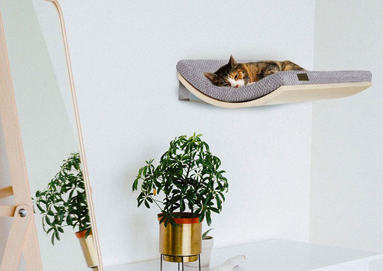 arbre à chat mural