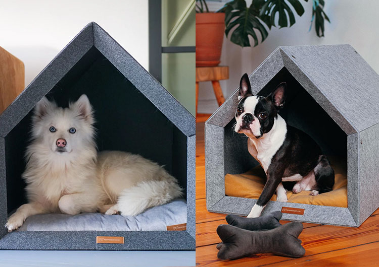 comment choisir taille niche chien