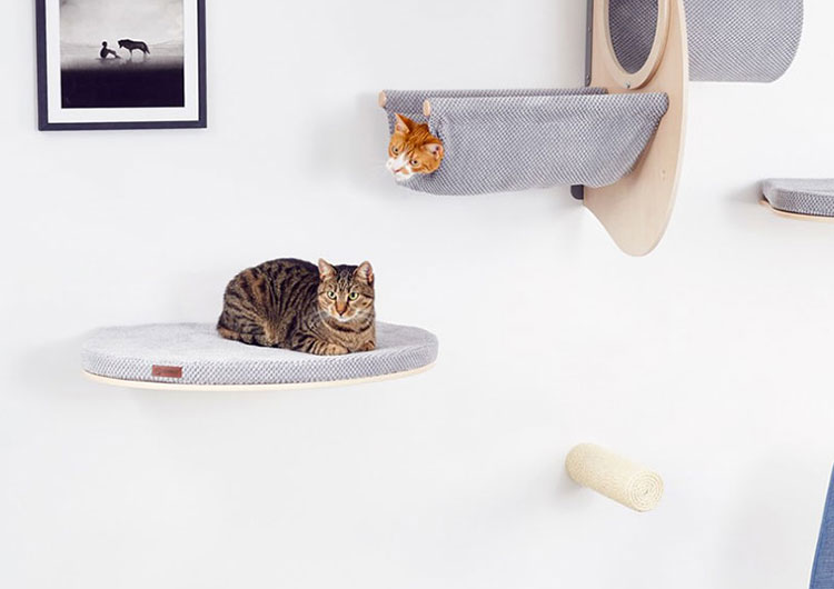 parcours chat mural design
