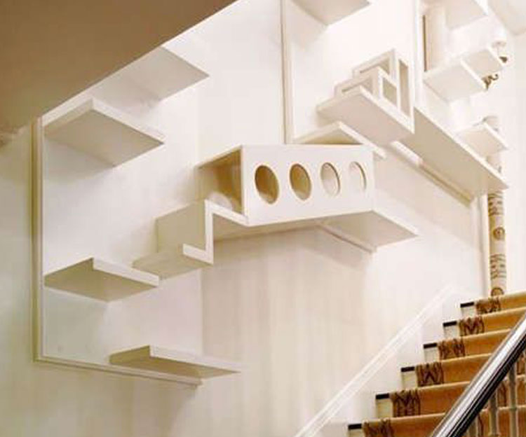 escalier pour chat