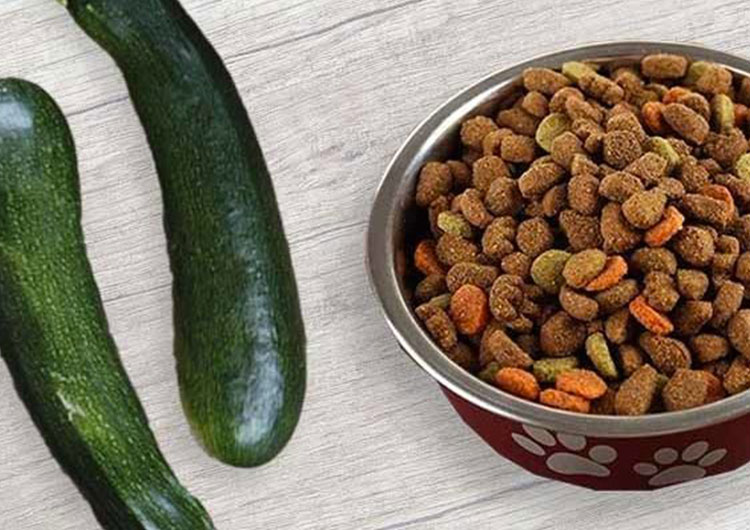 regime chien courgette croquette