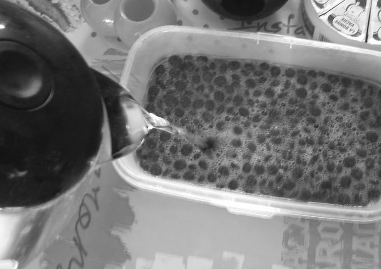 réhydrater croquettes eau chaude