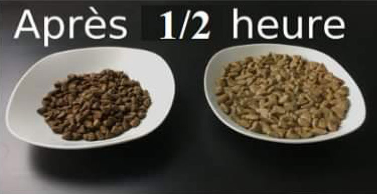 comment réhydrater croquettes ?
