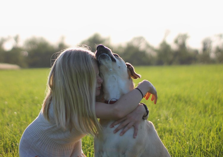 chien calin maitre