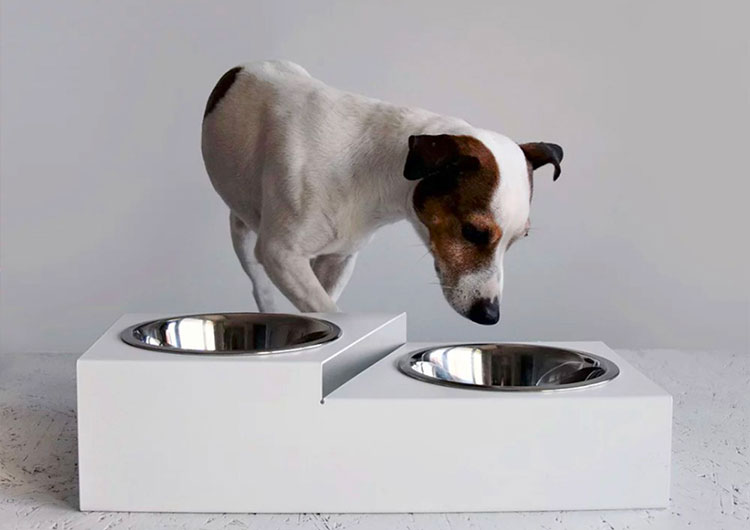 GAMELLES CHIEN SURÉLEVÉES EN ACIER, SOCLE ÉTAGE EN MÉTAL BLANC