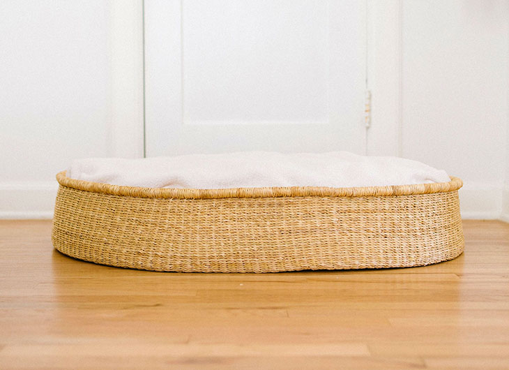 coussin lit golden retriever