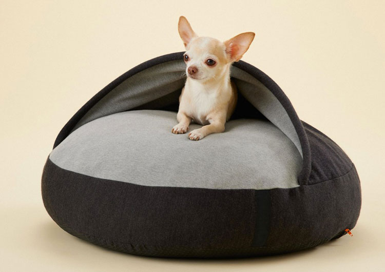 coussin igloo chihuahua