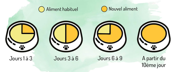 programme transition croquettes chien chat