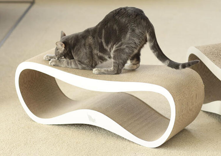 quel griffoir pour un chat ?