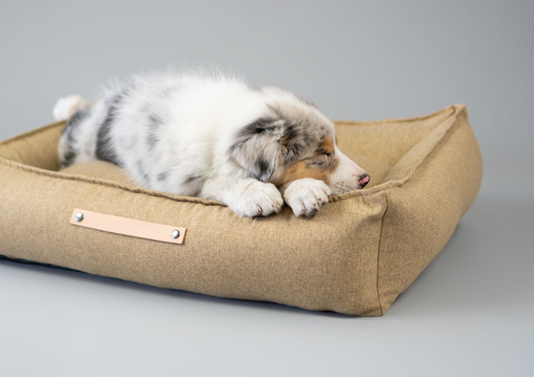 quel panier pour un chiot