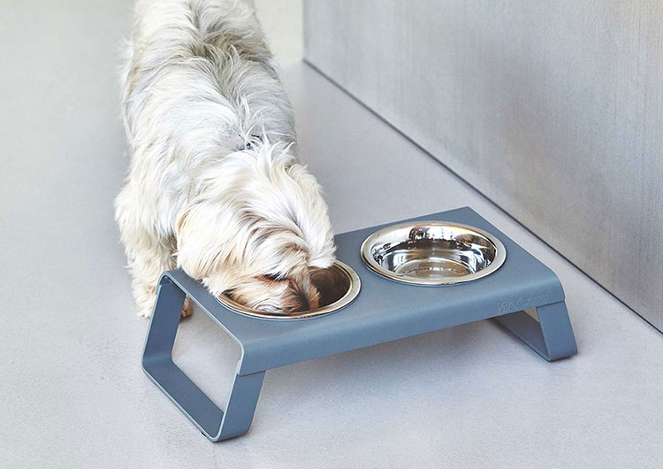 gamelle chien écuelle inox