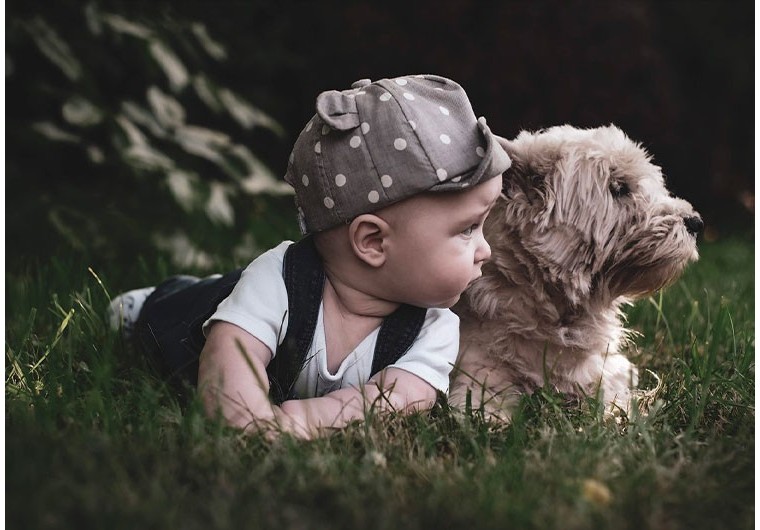 Comment préparer son chien à l'arrivée de bébé