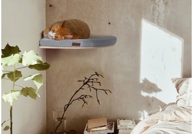 Pourquoi mon chat ne va pas sur l'arbre à chat ?