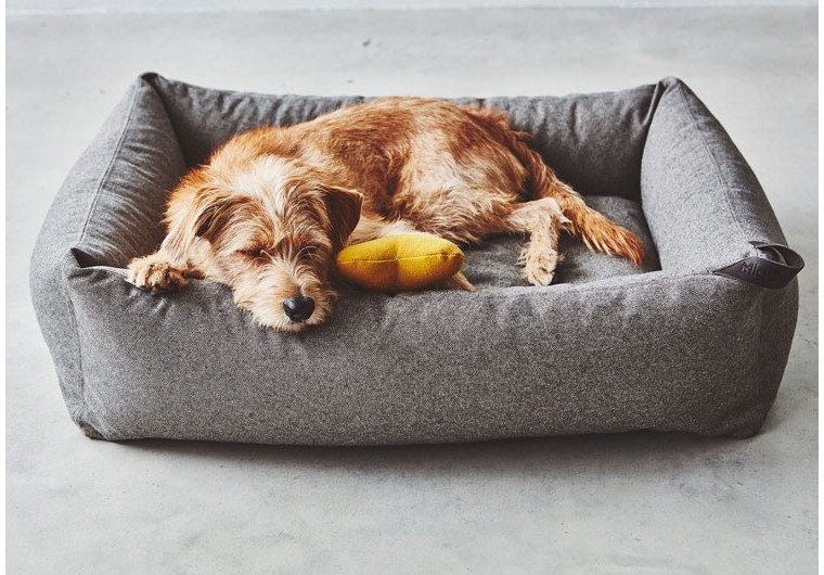 Panier, coussin, tapis, corbeille : comment choisir le couchage de son  chien ?