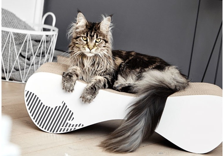 Quel griffoir choisir pour mon chat ?