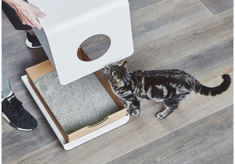 Quelle litière choisir pour mon chat ?