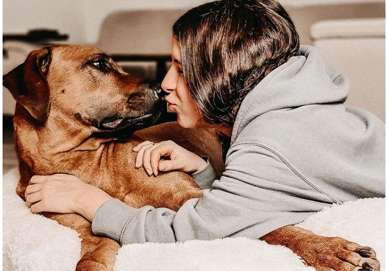 Est-ce que les chiens aiment qu’on leur parle ?